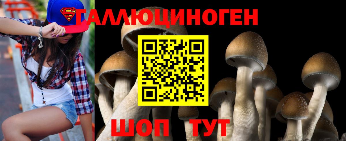 Псилоцибиновые грибы MAGIC MUSHROOMS Луга