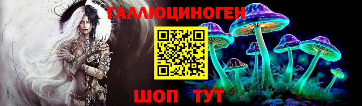 Луга  Псилоцибиновые грибы Psilocybine cubensis  Псилоцибиновые грибы прущие грибы  Вход с VPN 