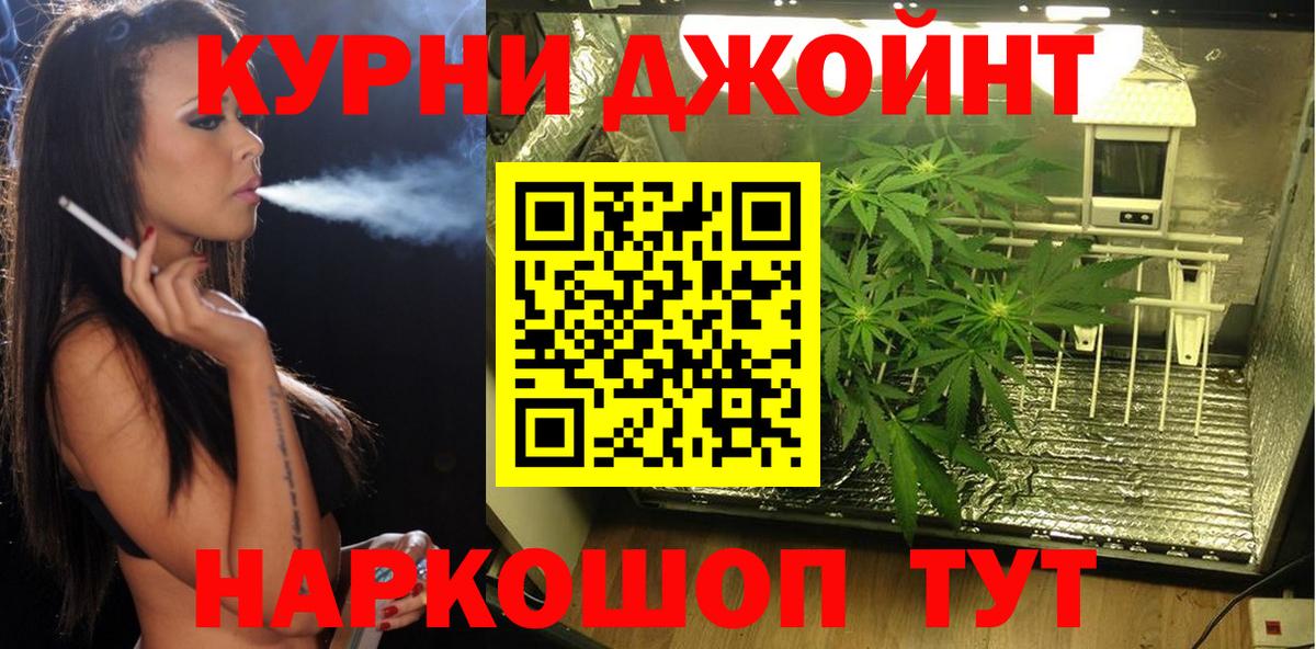 Бошки Шишки THC 21%  Вход с VPN  МАРИХУАНА Bruce Banner  Луга  Шишки марихуана план 